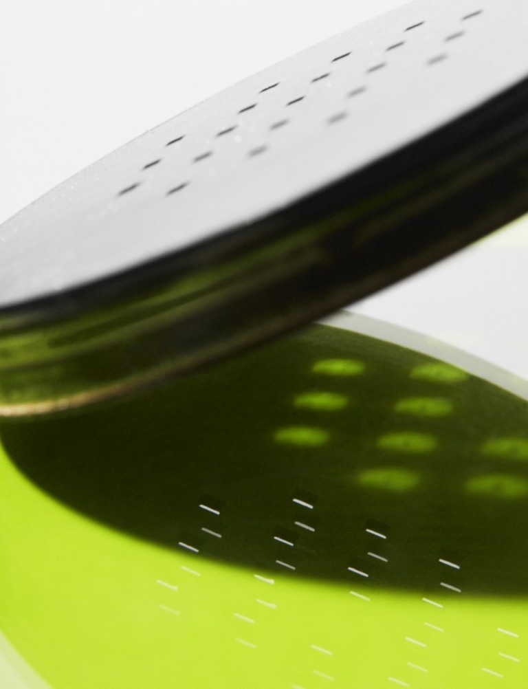 Still Life – featured image